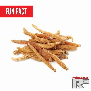 The Power of Ginseng