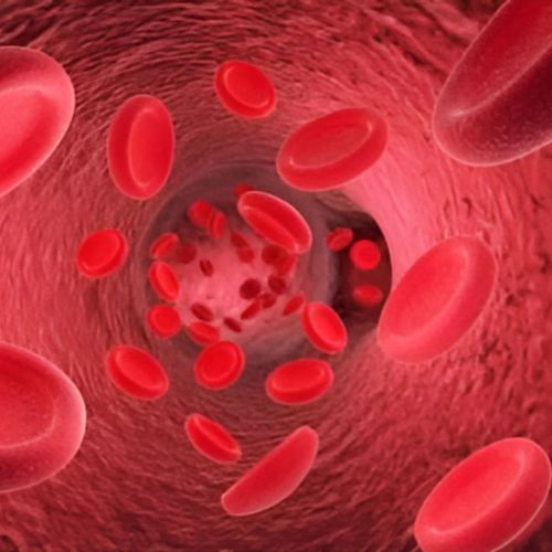 Supporting healthy blood sugar and glucose levels after 40