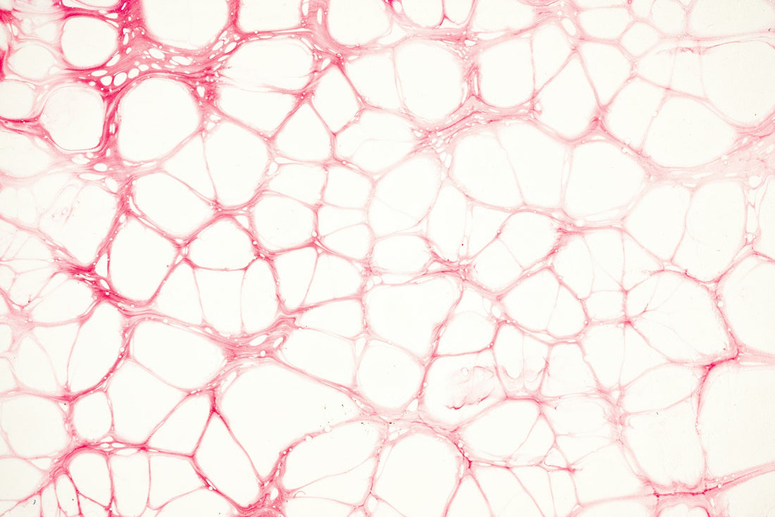 Illustration of blood flowing through a vessel, representing circulation