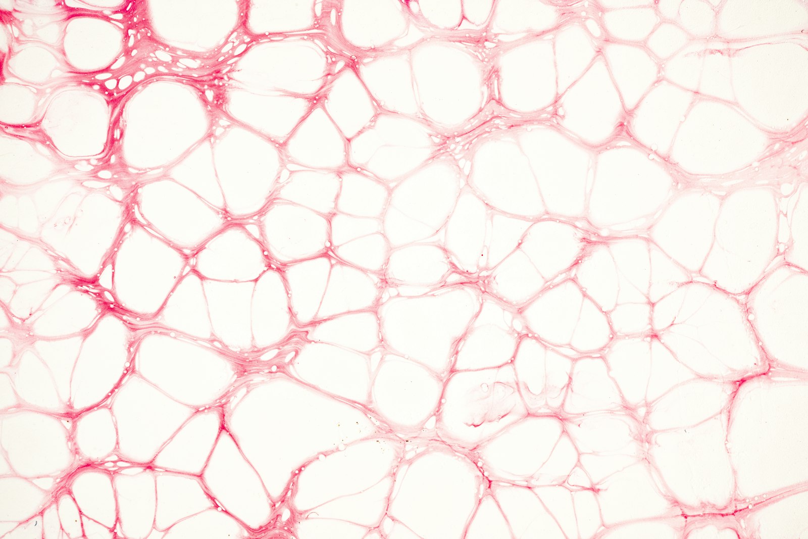 Illustration of blood flowing through a vessel, representing circulation