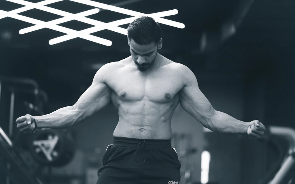 Natural Supplements for Men's Performance and Wellness